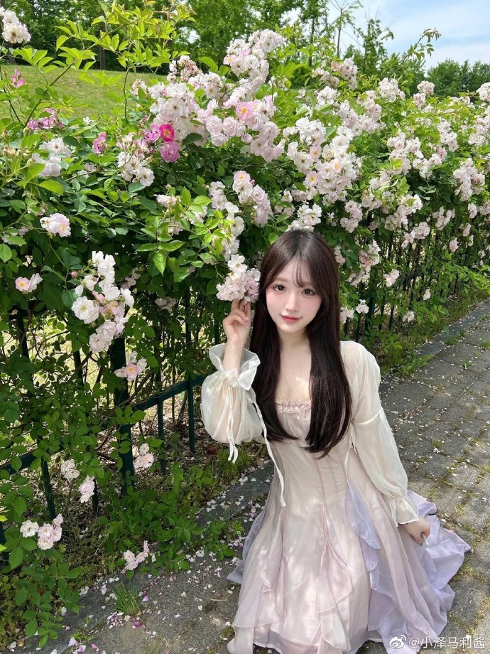 伯德小姐